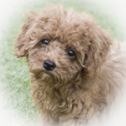 20190610_D850_Jasmine_4.5mos_DSC_1407