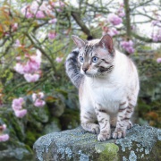 20120422-Canon_Majik_IMG_0200-2-C