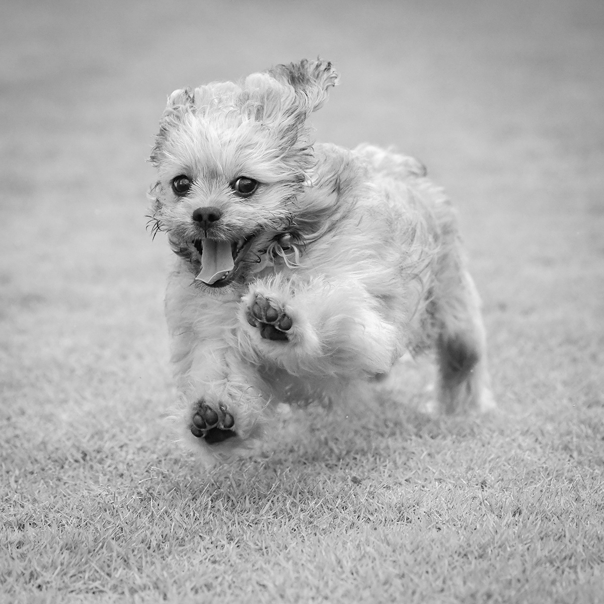 20181106_D850_Heidi_DSC0915_4000-C 20181106_D850_Heidi_DSC0915_4000-C