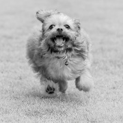 20181031_D850_Heidi_4000_DSC0810