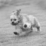 20181106_D850_Heidi_DSC0892_4000_