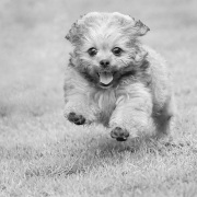 20181106_D850_Heidi_b_DSC0765