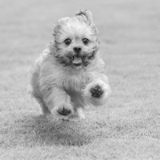 20181106_D850_Heidi_b_DSC0896