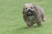 20191008_D850_Heidi_DSC0764